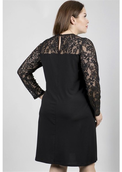 Omuzu ve Kolları Dantelli Elbise fırsatları
