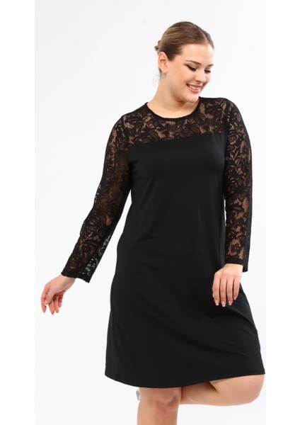 Omuzu ve Kolları Dantelli Elbise