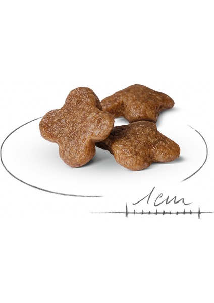 Mını Adult 8 Yaş Ve Üzeri Küçük Irklar Için Kuru Köpek Maması 2kg