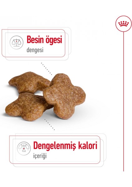 Mını Adult 8 Yaş Ve Üzeri Küçük Irklar Için Kuru Köpek Maması 2kg