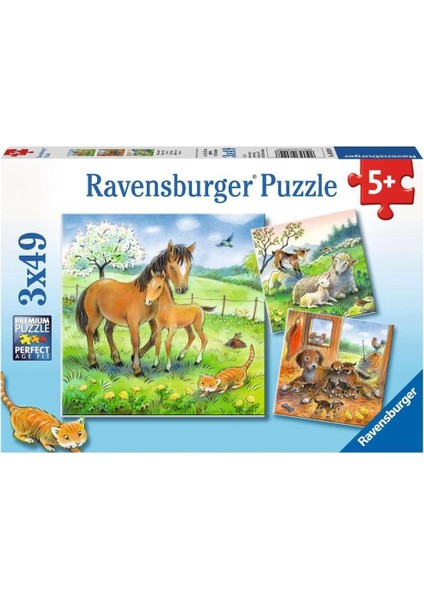 Puzzle 08029 - Hayvanlar