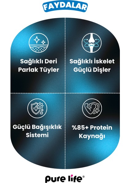 Purelife Pate Somonlu Yetişkin Kedi Konserve Mama 400GR fırsatları