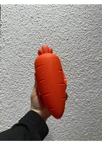 Havuç Görünümlü Saklama Kabı