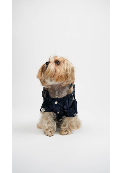 Kedi Köpek Yağmurluk Luxe Shelld