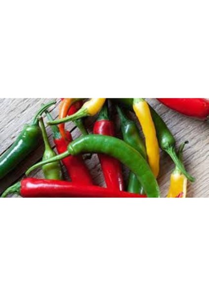 5 Adet Tohum Rengarenk Acı Biber Tohumu fiyatları
