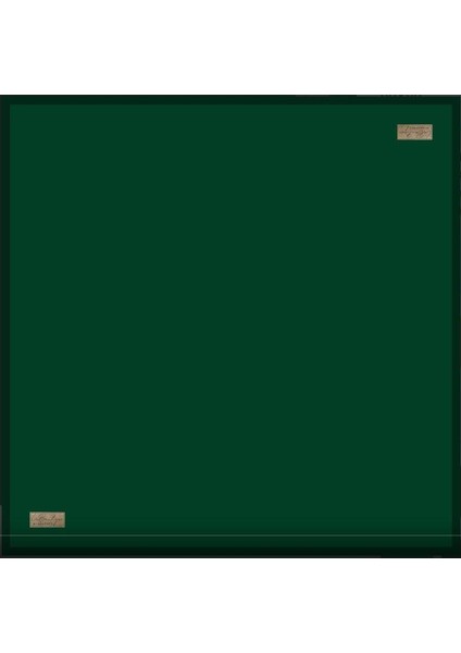 Güz Serinliği Düz Eşarp 11