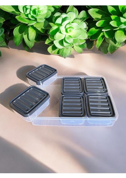 6 Bölmeli Vakumlu Saklama Kabı, Sızdırmaz ve Pratik Kahvaltılık Saklama Seti fiyatları