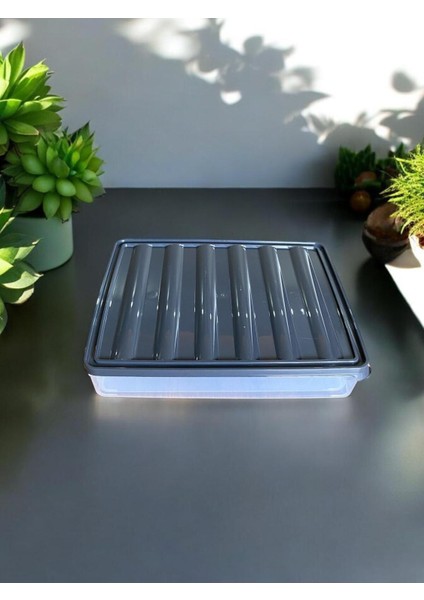 6 Bölmeli Vakumlu Saklama Kabı, Sızdırmaz ve Pratik Kahvaltılık Saklama Seti modelleri