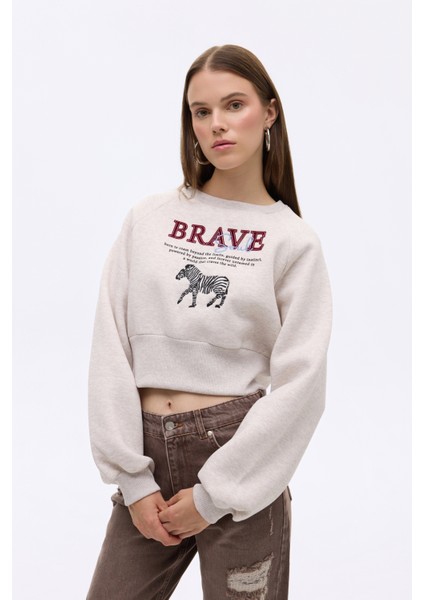 Zebra Nakışlı Sırtı Fermuarlı Sweatshirt Bej fırsatları