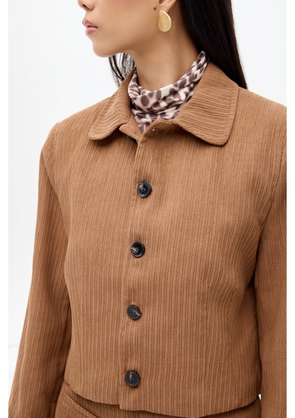 Vatkalı Gömlek Yaka Kadife Ceket Kahverengi