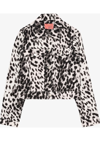 Leopar Desenli Gömlek Yaka Kısa Ceket Siyah modelleri