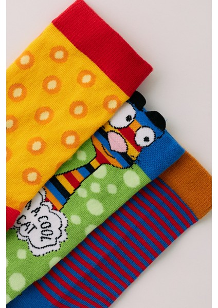 Erkek Çocuk Horoz Desenli 3'lü Kutulu Soket Çorap