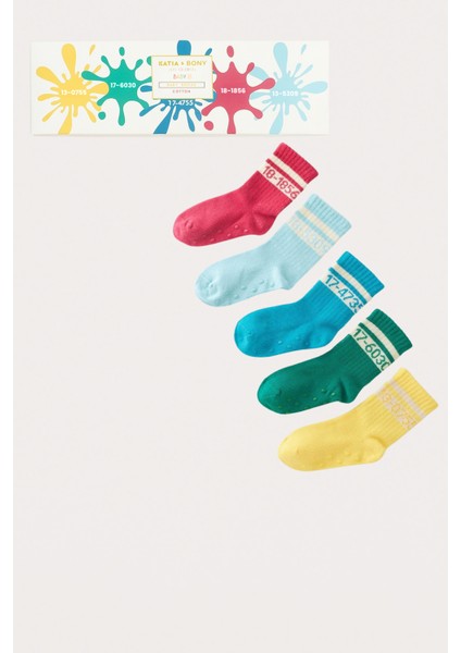 Bebek Pantone Renkli 5'li Kutulu Soket Çorap