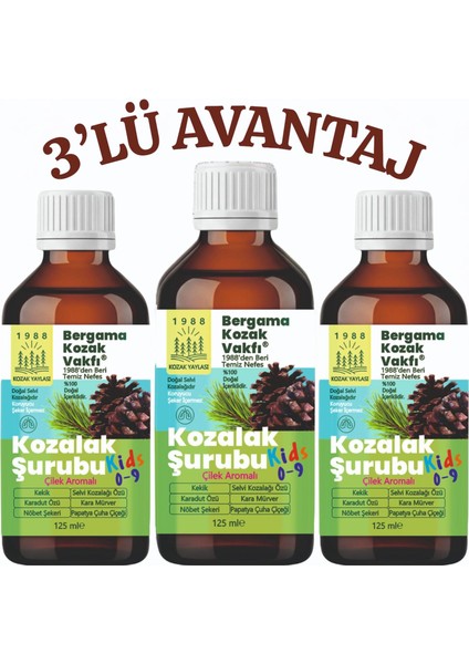 Bergama Kozak Vakfı Kozalak Şurubu Kids Çocuklar Için Çilek Aromalı 3 x 125 ml Şurup fiyatları