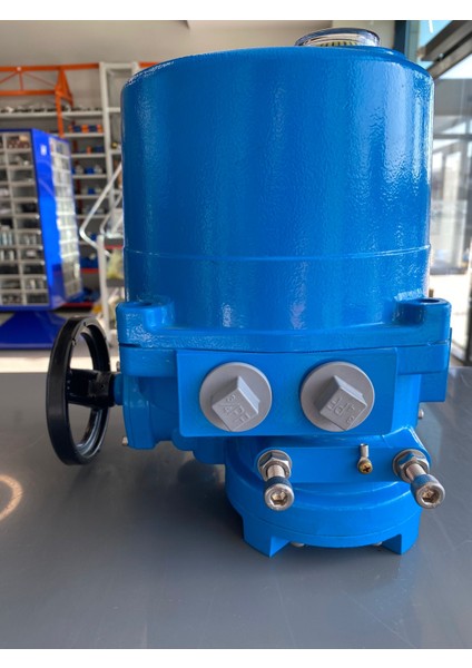 Elektrikli Aktüatör NA038-AC151700 fiyatları