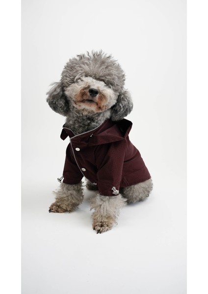 Kedi Köpek Yağmurluk Astra