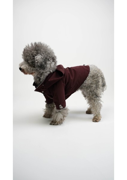 Kedi Köpek Yağmurluk Astra fiyatları