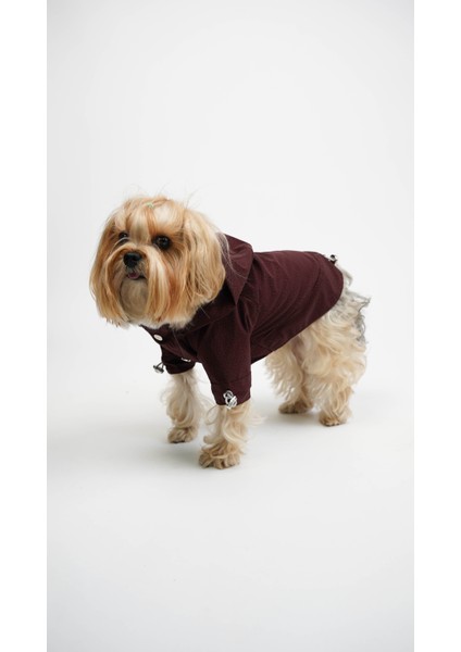 Kedi Köpek Yağmurluk Astra modelleri