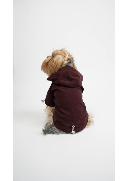 Kedi Köpek Yağmurluk Astra fırsatları