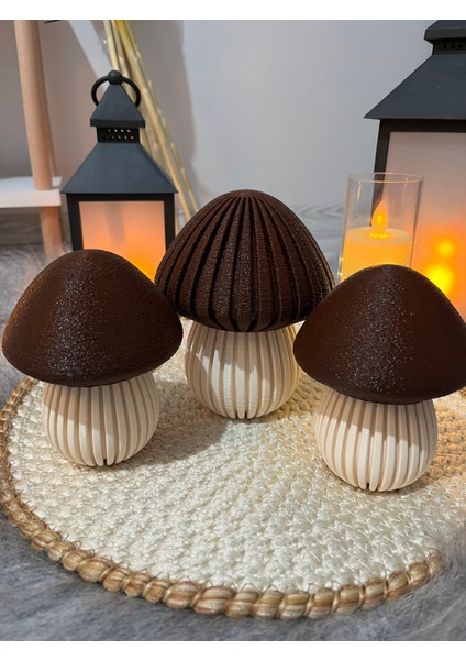 Dekoratif Mantar Biblo Seti, 3'lü fiyatları