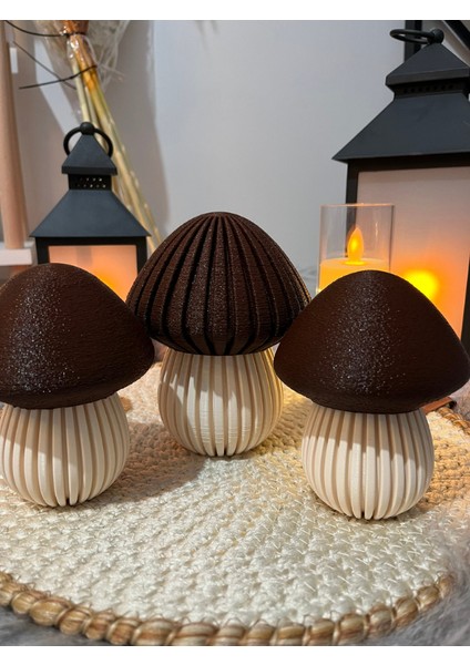 Dekoratif Mantar Biblo Seti, 3'lü modelleri