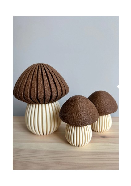 Dekoratif Mantar Biblo Seti, 3'lü indirimleri