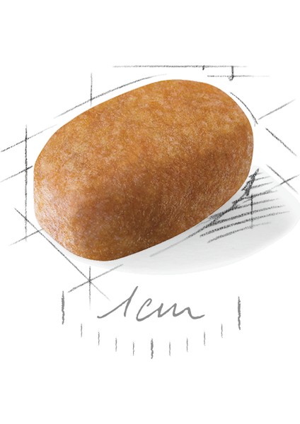 Maltese Yetişkin Kuru Köpek Maması 1.5kg