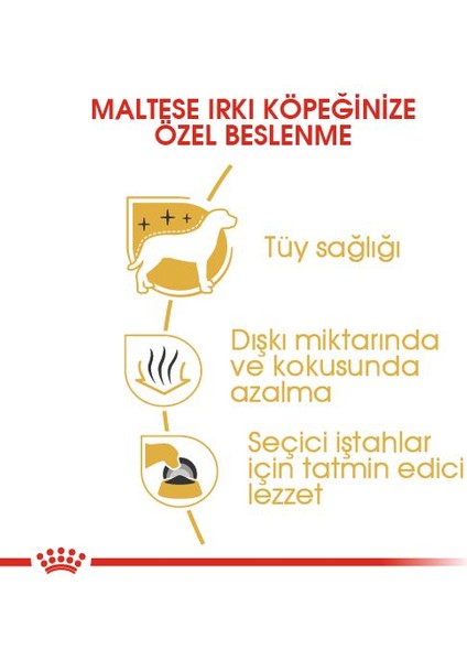 Maltese Yetişkin Kuru Köpek Maması 1.5kg