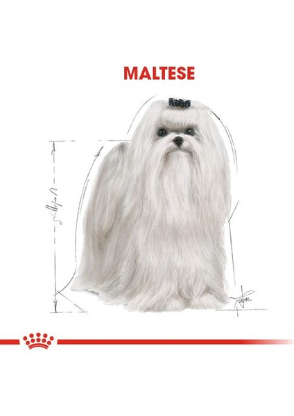 Maltese Yetişkin Kuru Köpek Maması 1.5kg