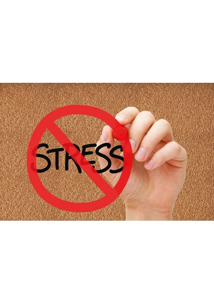 Dekoratif , Eğlenceli Dijital Baskı Kapı Önü Paspası - Paspas