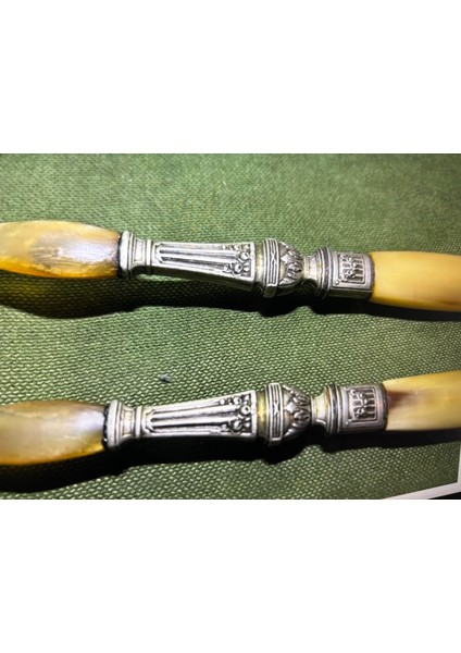 Fransız Servis Seti Çatal ve Kaşık Boynuzdan ve Gümüş Kaplama 28 cm Boylarında fırsatları