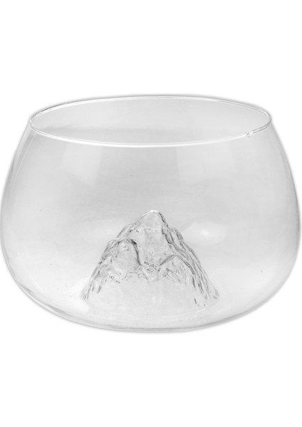 Büyük Boy Cam Fanus Teraryum Balık ve Çiçek Dekoru 24X18 fiyatları