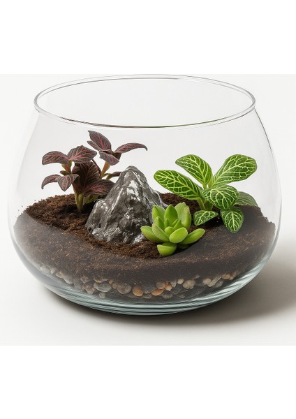 Büyük Boy Cam Fanus Teraryum Balık ve Çiçek Dekoru 24X18 indirimleri