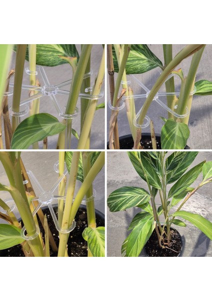 Bitki Gövde Sabitleme ve Destek Klipsi 16 Adet