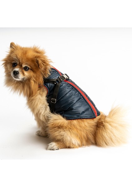 Kedi Köpek Tasmalı Sırt Fermuarlı Yelek