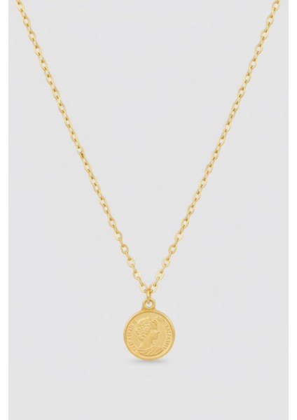 ERKEK GOLD KAPLAMA ANTİK PARA KOLYE 65 CM PMEKL25502 fırsatları