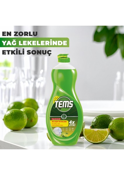4 Etkili Bulaşık Makinesi Kapsülü 36'lı + Tems Bulaşık Makinesi Parlatıcı 400 ml + Tems Elde Yıkama Bulaşık Deterjanı 500 ml fırsatları