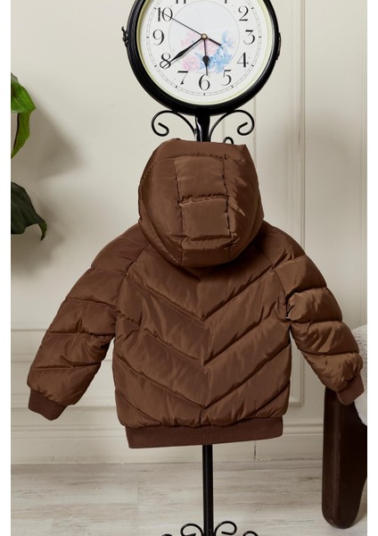 Erkek Bebek Kapüşonlu Kışlık Mont 51332 modelleri