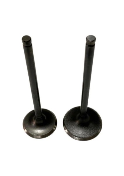 Emme Egzoz Sübap Takımı Honda Ps 150 Dylan 150 fiyatları