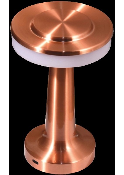 Cata Ct 8435 Oslo Dokunmatik USB Sarjlı Masa Lambası