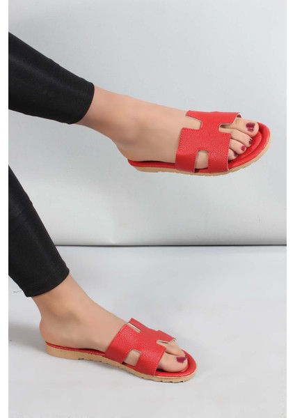 Kadın Düz Terlik 935ZA113