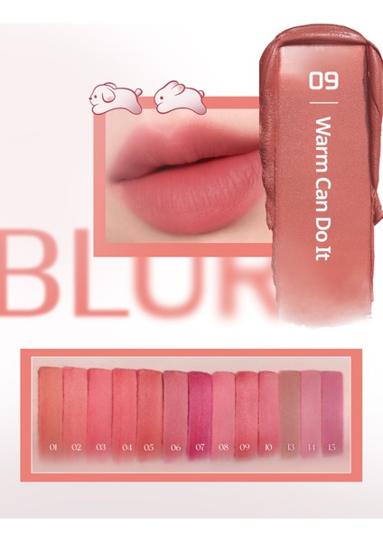Gün Boyu Kalıcı Pürüzsüz Matlık Sunan Tint PERIPERA Over Blur Tint (009 Warm Can Do It) (Tteok)