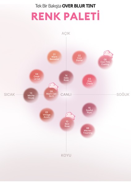 Gün Boyu Kalıcı Pürüzsüz Matlık Sunan Tint PERIPERA Over Blur Tint (009 Warm Can Do It) (Tteok)
