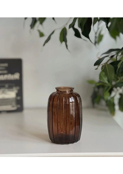 Minimal Çizgi Desenli Cam Vazo fiyatları