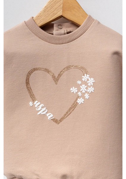 U.s. Polo Assn 2 Li Takım USB2721 Biscuit fiyatları