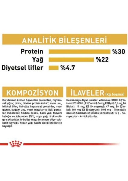 Persian Adult Kuru Kedi Maması 4 kg