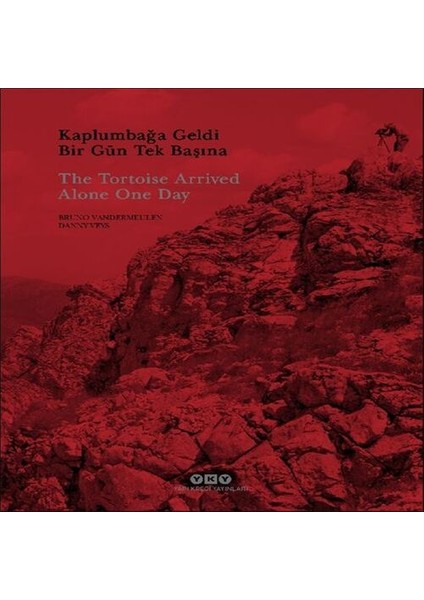 Kaplumbağa Geldi Bir Gün Tek Başına