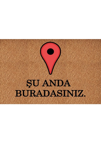 Dekoratif , Eğlenceli Dijital Baskı Kapı Önü Paspası - Paspas