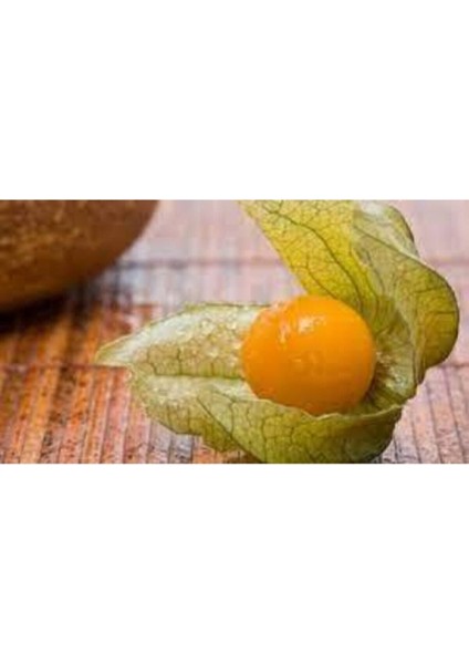 Tohum Tropikal Güney Feneri Altın Çilek Sarı Altın Çilek Tohumu 5 Adet modelleri