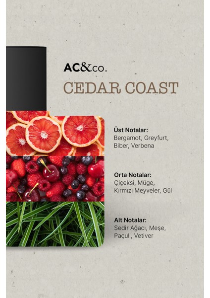 50 ml Edp Cedar Coast Parfüm fiyatları